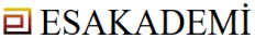 esakademi